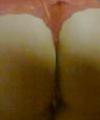 dogbaires's Avatar