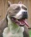 zoocurious's Avatar