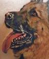 pheike1's Avatar