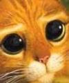 tio's Avatar