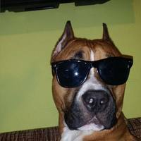 hunter77's Avatar