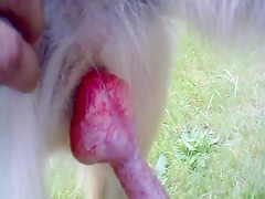 Thumb 18