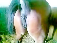 Thumb 9