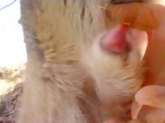 Thumb 13