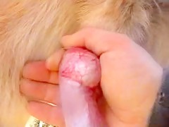 Thumb 18