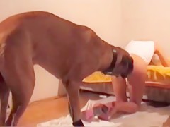 HorseSex2