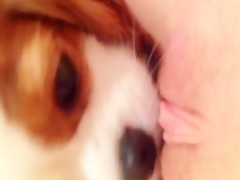 Thumb 16