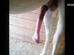 Thumb 14