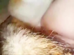 Thumb 15