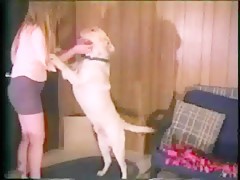 Help me,my dog is banging me.