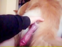 Thumb 14