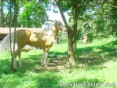 ET violador
