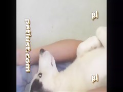 Thumb 12