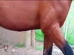 Thumb 7