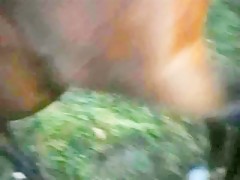 Sam es sensacional