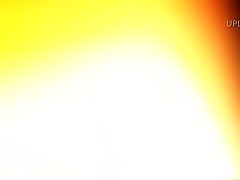 Tonya black_lab_in_hotel_room (1)