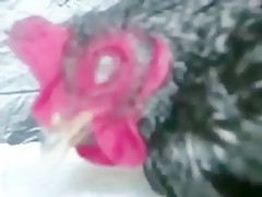 Girl with dog Danish