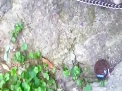 Un gay en el establo