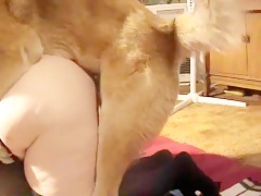 Thumb 11