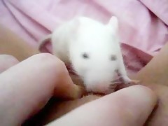 Thumb 14