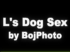 Falditas para el can