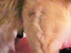 Thumb 9