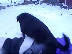 Caledonian Scoop And The Snow Bunny