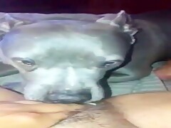 Thumb 4