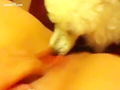 Thumb 3