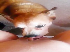 Thumb 1