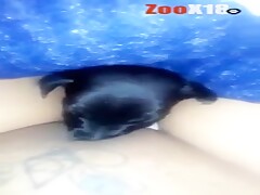 Dog sucking clit
